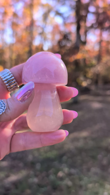 Purple Fluorite Mushroom