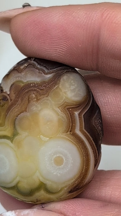 Gobi Agate Shiva's & Palms - Batch B