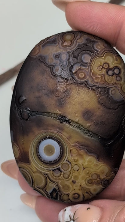 Gobi Agate Shiva's & Palms - Batch B