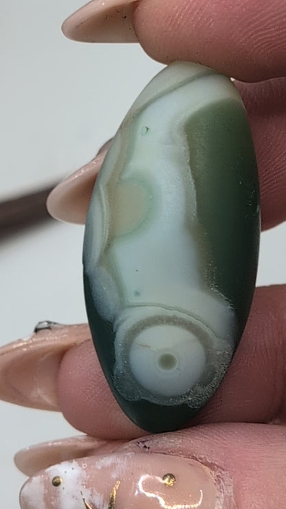 Gobi Agate Shiva's & Palms - Batch A