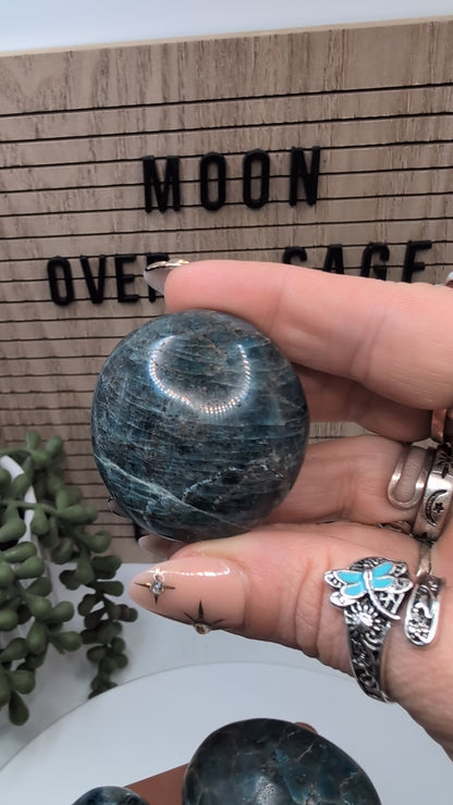 Blue Apatite Palm Stones - Mid Grade Stones at Great Prices!