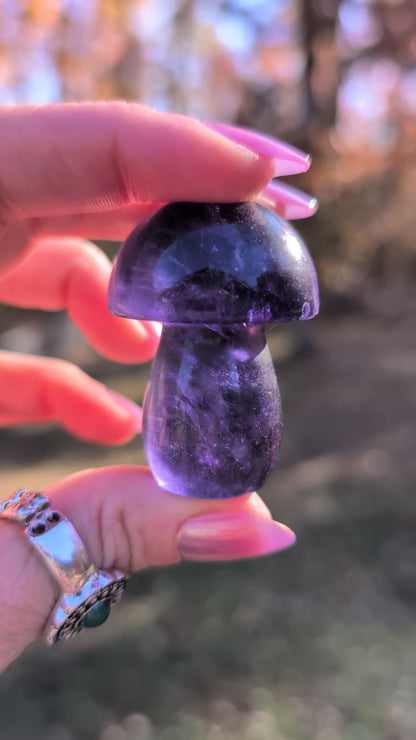 Dark Purple Fluorite Mushroom