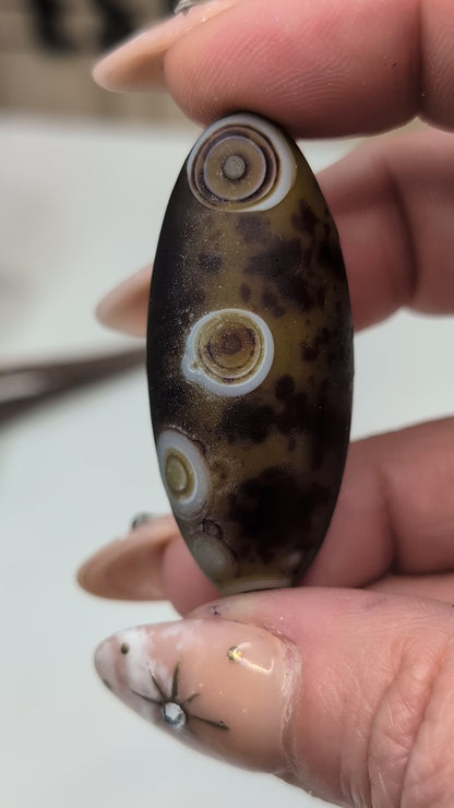 Gobi Agate Shiva's & Palms - Batch A
