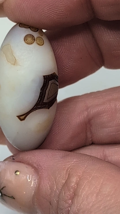 Gobi Agate Shiva's & Palms - Batch B