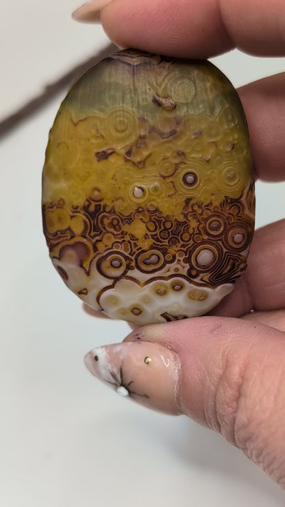 Gobi Agate Shiva's & Palms - Batch A