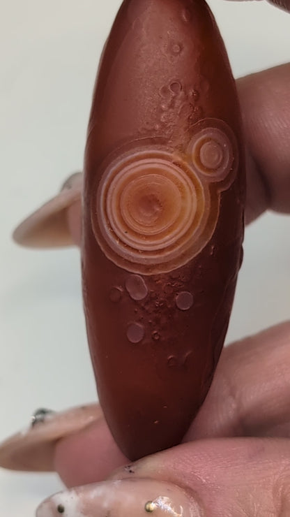 Gobi Agate Shiva's & Palms - Batch A
