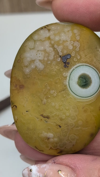 Gobi Agate Shiva's & Palms - Batch B