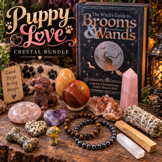 Puppy Love crystal bundle with dog carving, Carnelian sphere, crystal tower, hearts, bracelets, sage, Palo Santo and Selenite in book-style storage box