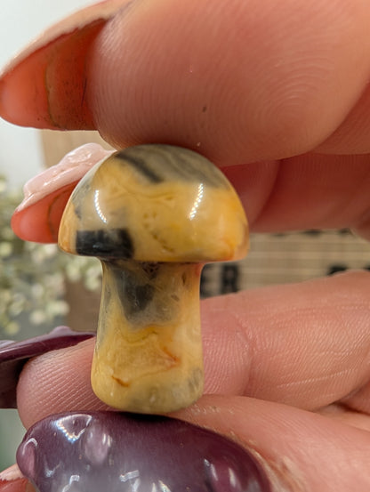 Puppy Love Crystal Bundle