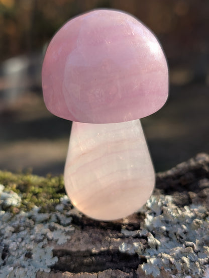 Purple Fluorite Mushroom