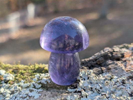 Dark Purple Fluorite Mushroom
