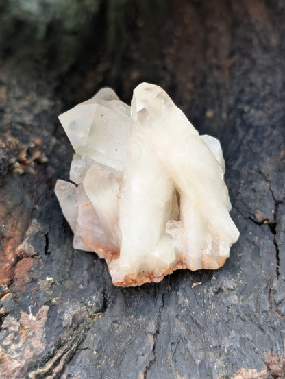 Natural Clear Quartz Cluster - 6 to 8 Points (they are everywhere!)