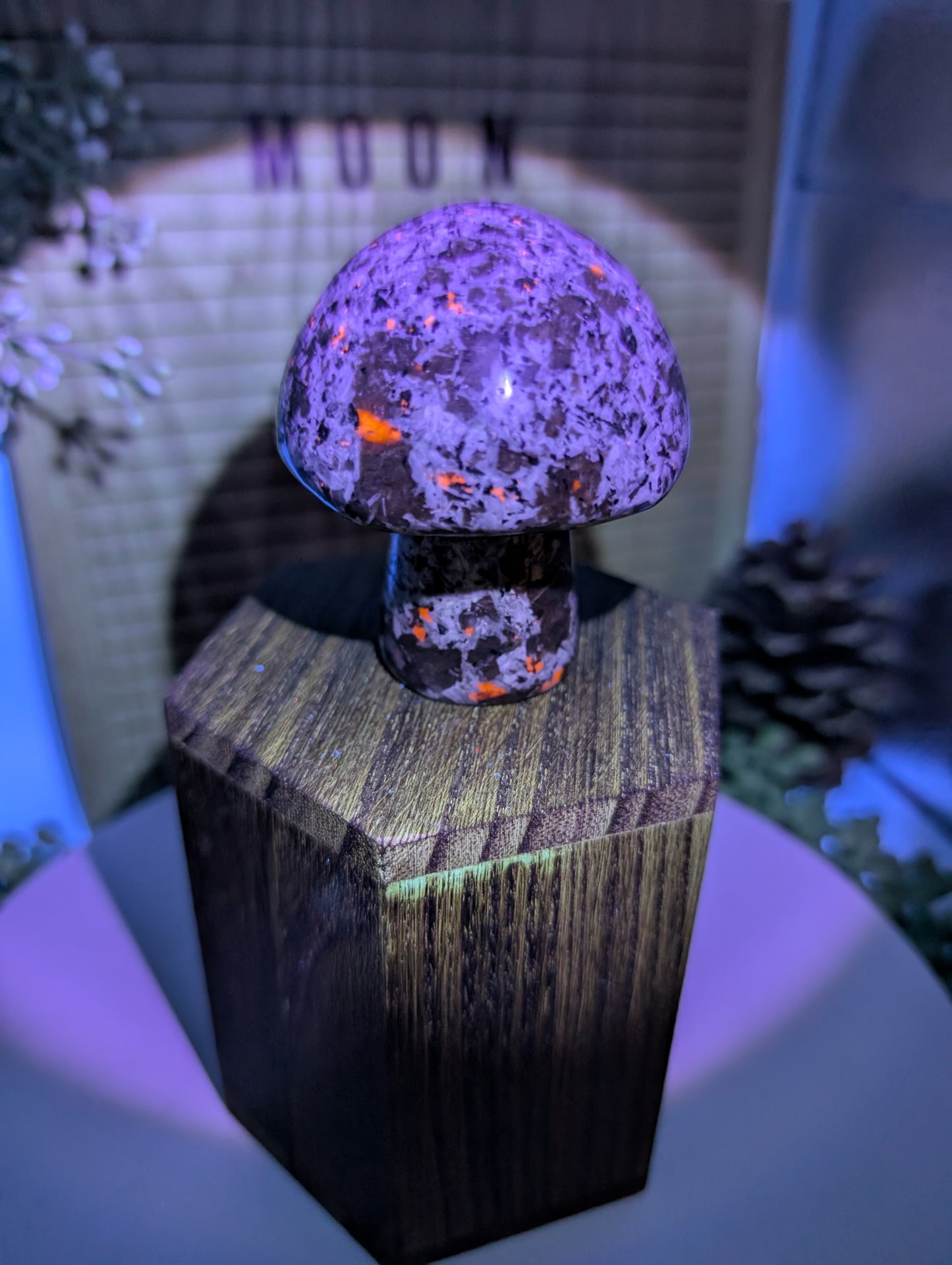 Yooperlite Mushroom