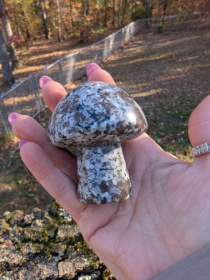 Yooperlite Mushroom