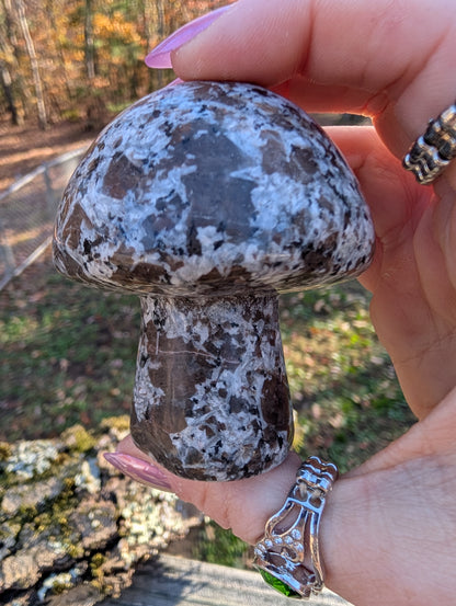 Yooperlite Mushroom