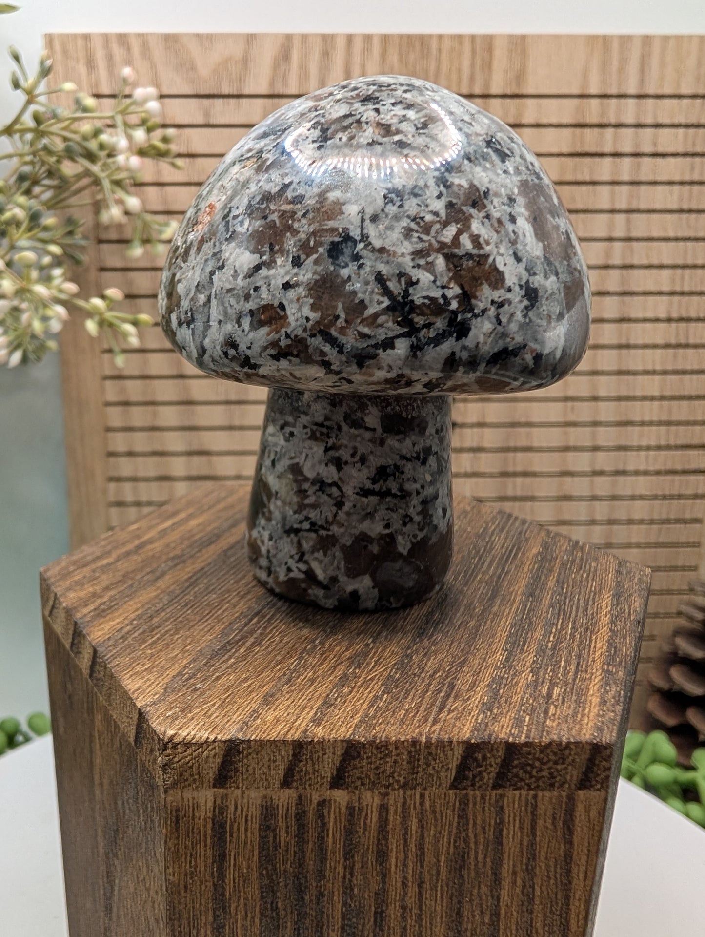 Yooperlite Mushroom