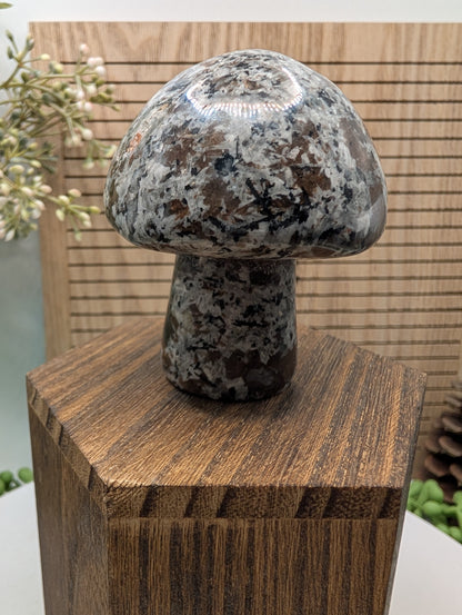 Yooperlite Mushroom