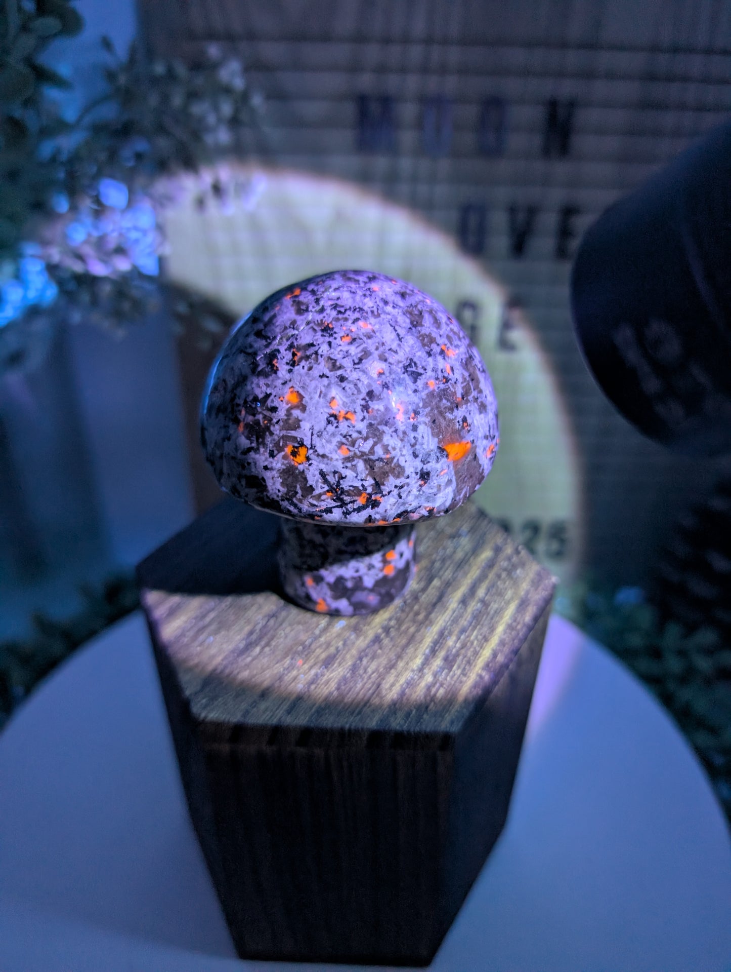 Yooperlite Mushroom