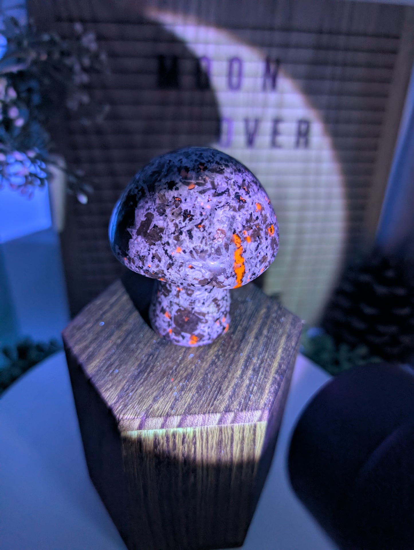 Yooperlite Mushroom